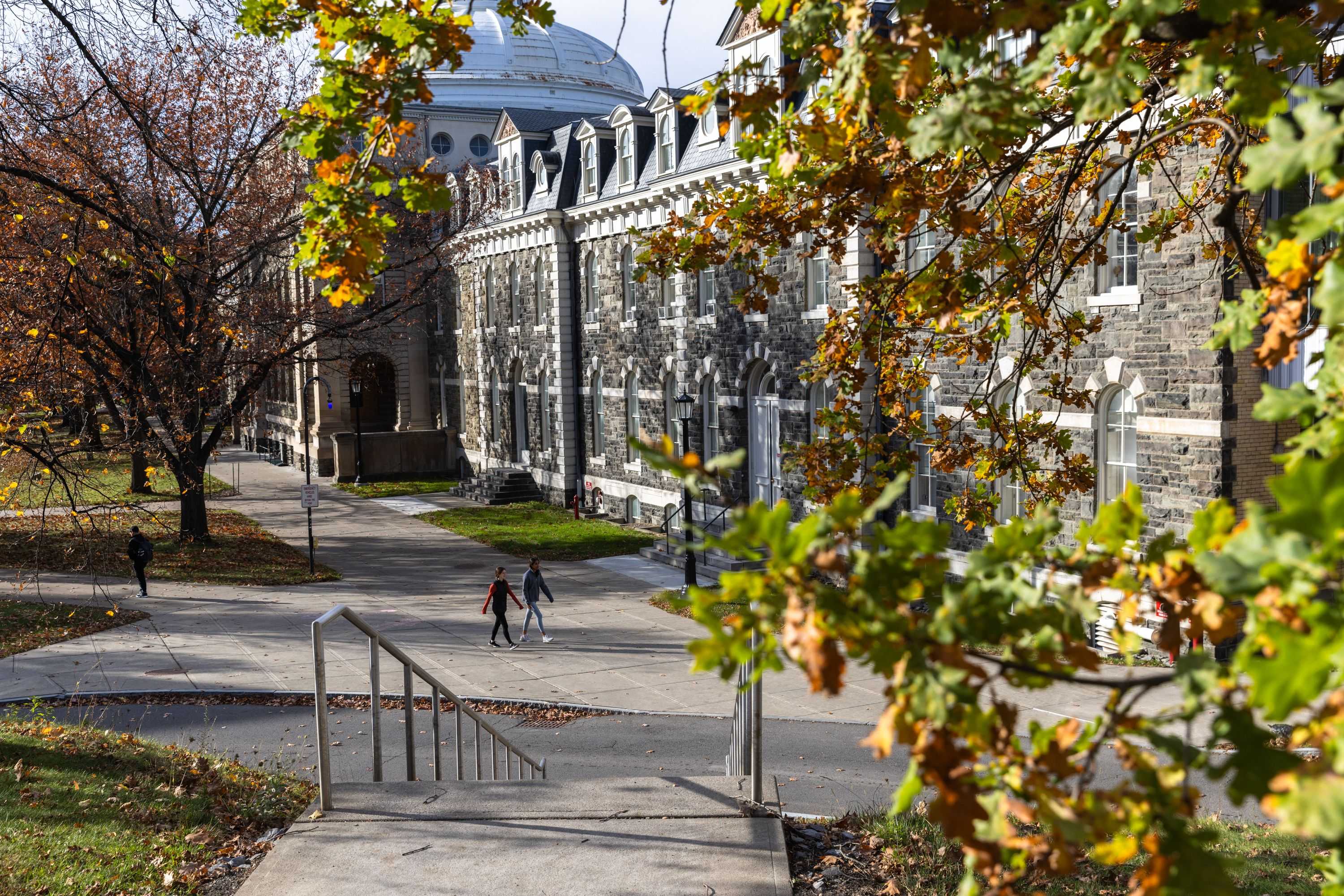 Cornell student suspended after 2023 alleged assault was then placed in co-ed dorm, professor says — Cranberry Township Schools news